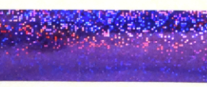 Ribbon - ACI Holographic - 25yds #5, #9 Click HERE to see all colors